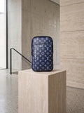 LOUIS VIUTTION   BAG