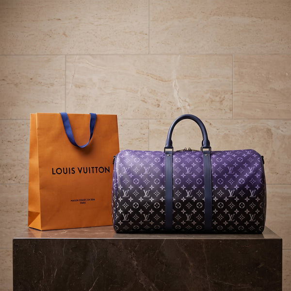 LV Hand bage