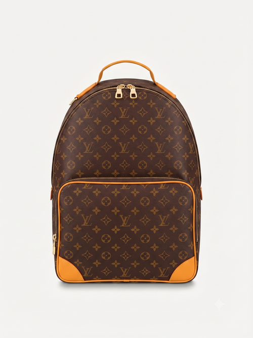 LO-U-IS VI-UTTI-ON  BAG