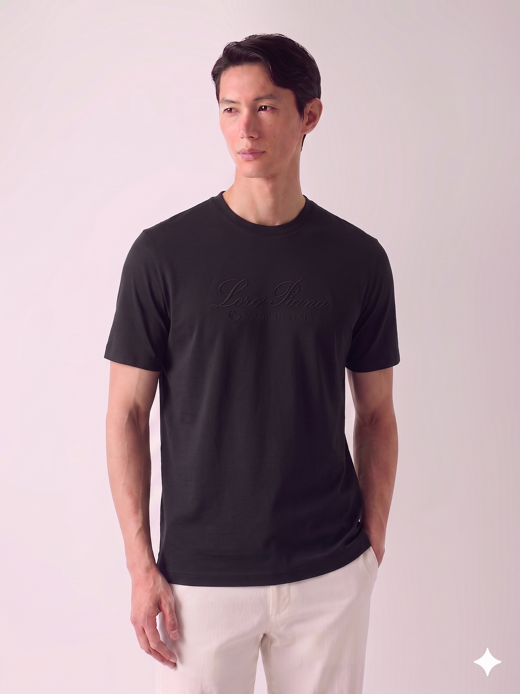 Loro Piana T-SHIRT.