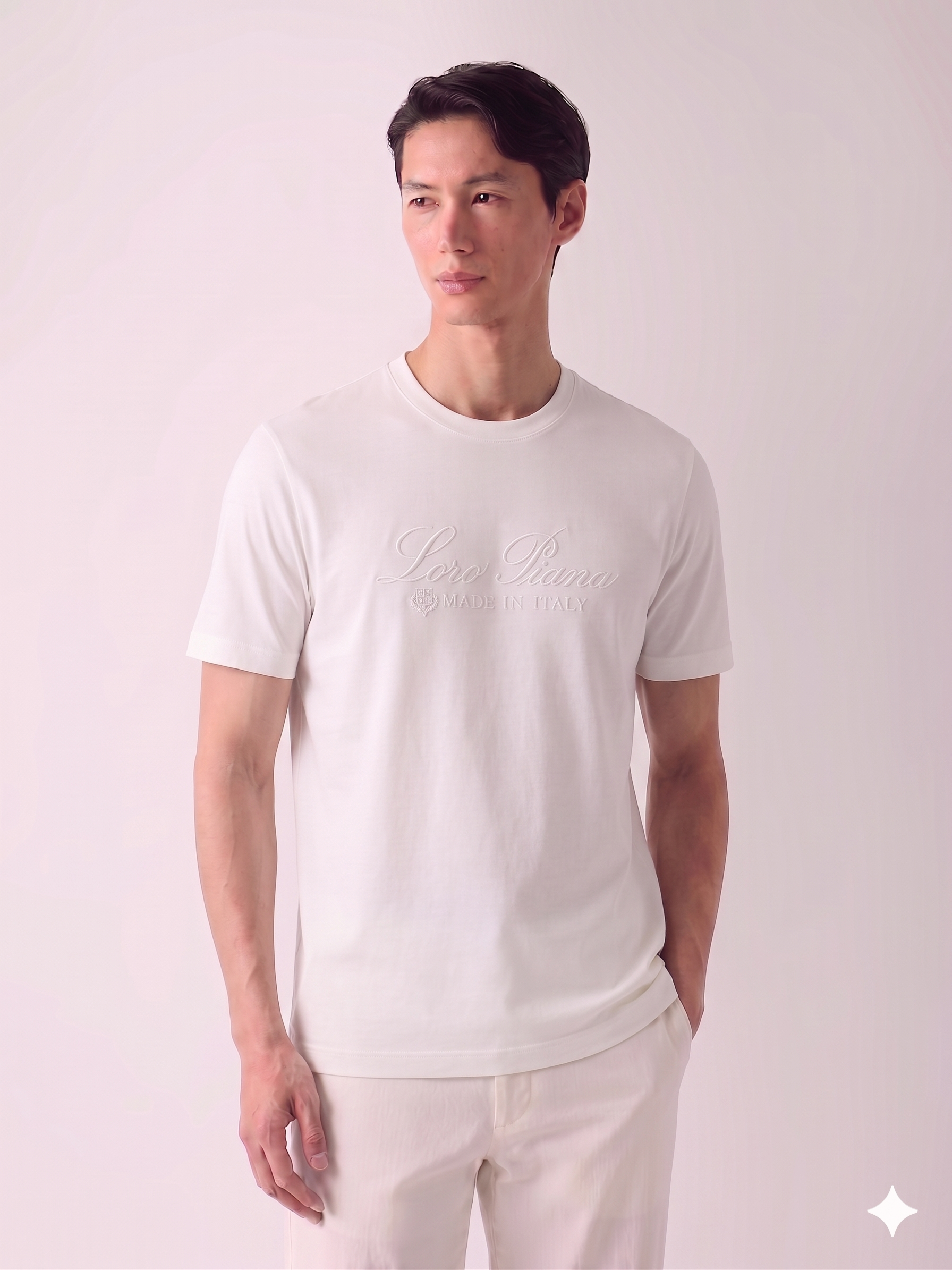Loro Piana T-SHIRT.
