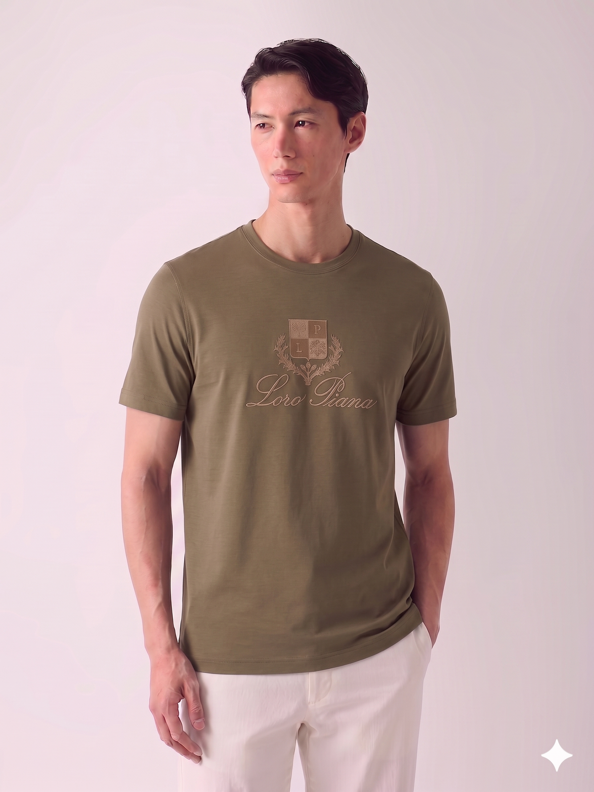 Loro Piana T-SHIRT.