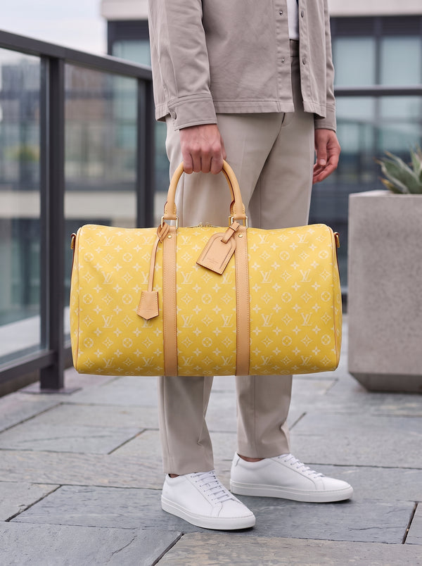 LV Hand bag