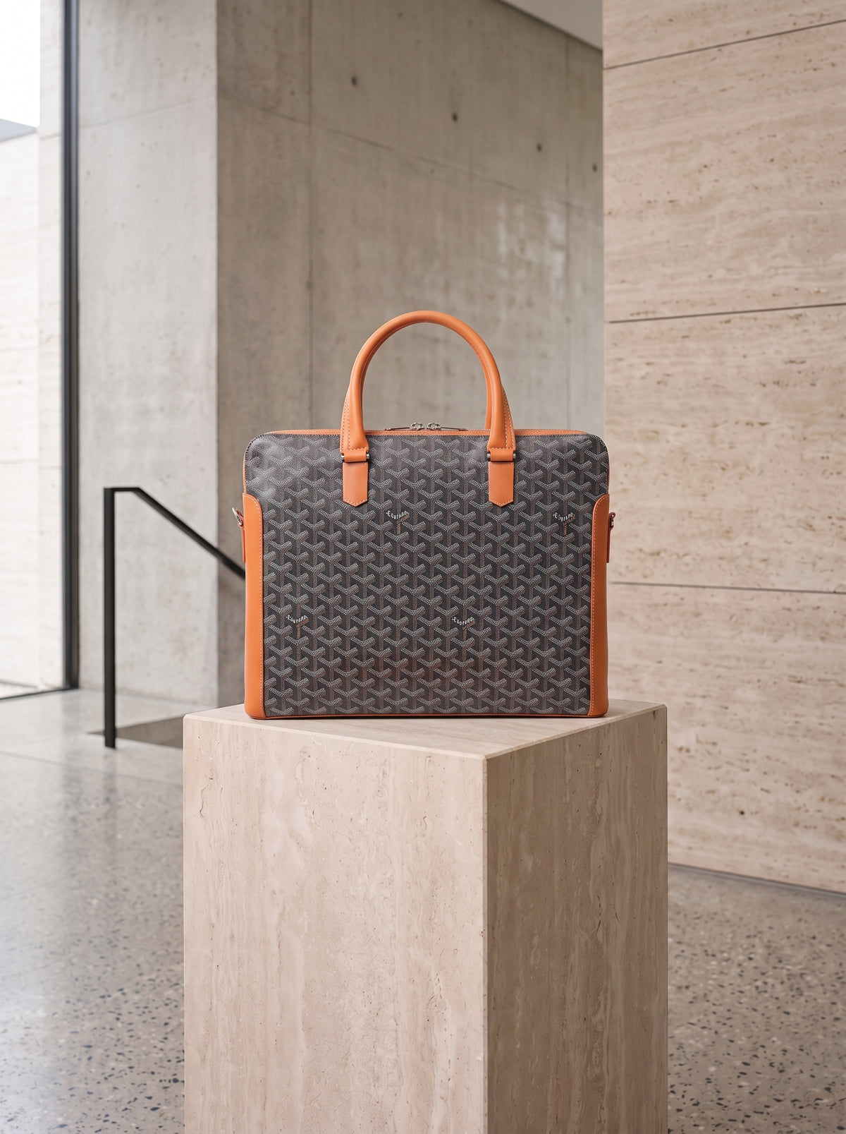 GOYARD  BAG