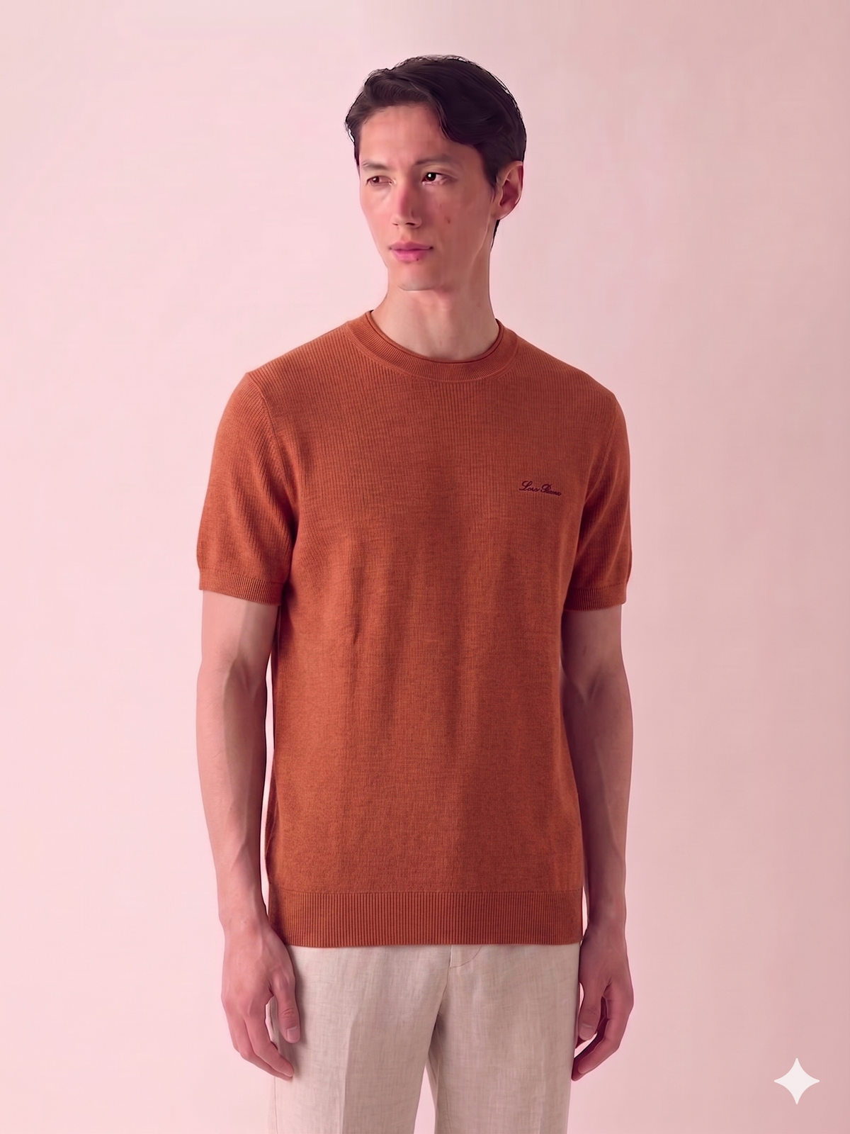 LORO PIANA T-SHIRT.