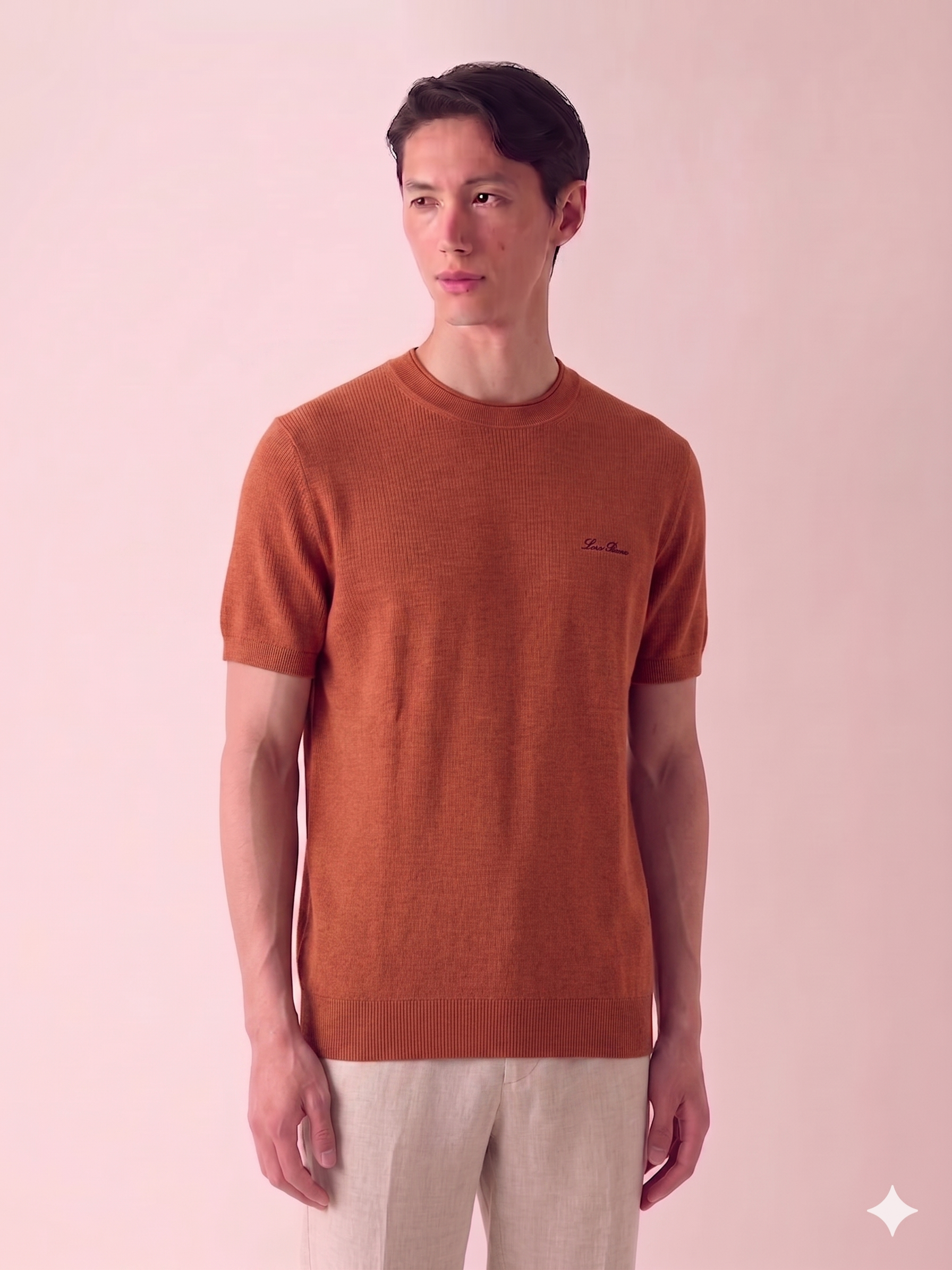 LORO PIANA T-SHIRT.