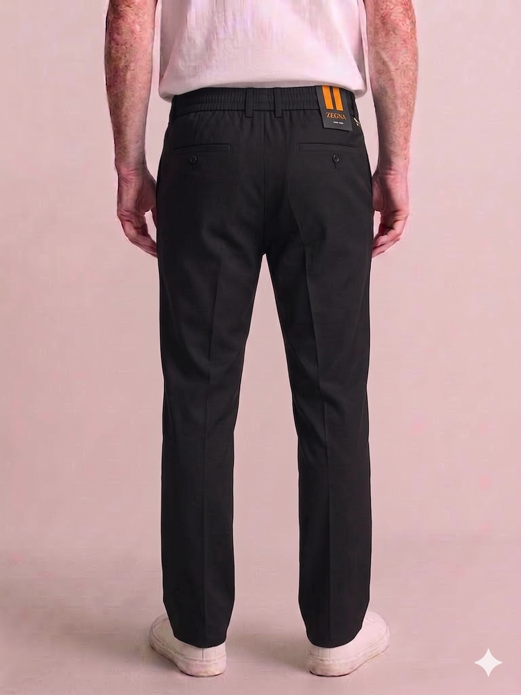 zegna pant