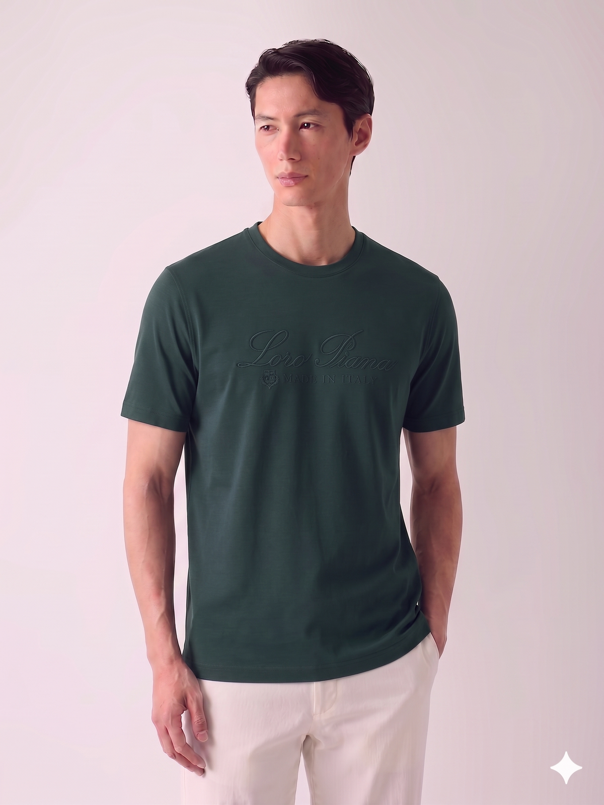 Loro Piana T-SHIRT.