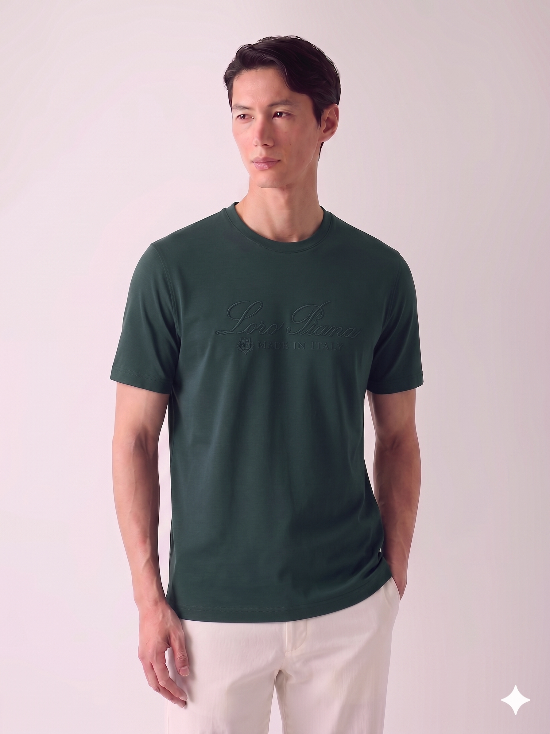 Loro Piana T-SHIRT.