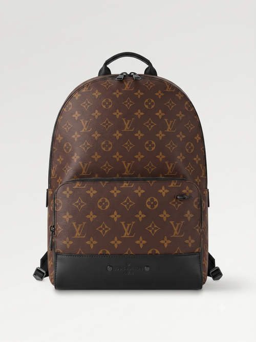 LO-U-IS VIUTTION  BAG