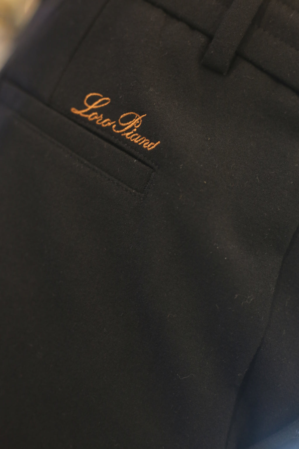 LORO PIANA SWEAT pant