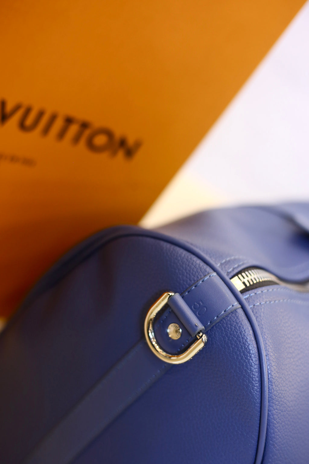 LV Hand Bage