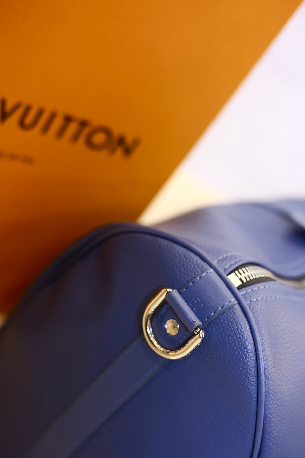 LV Hand Bage