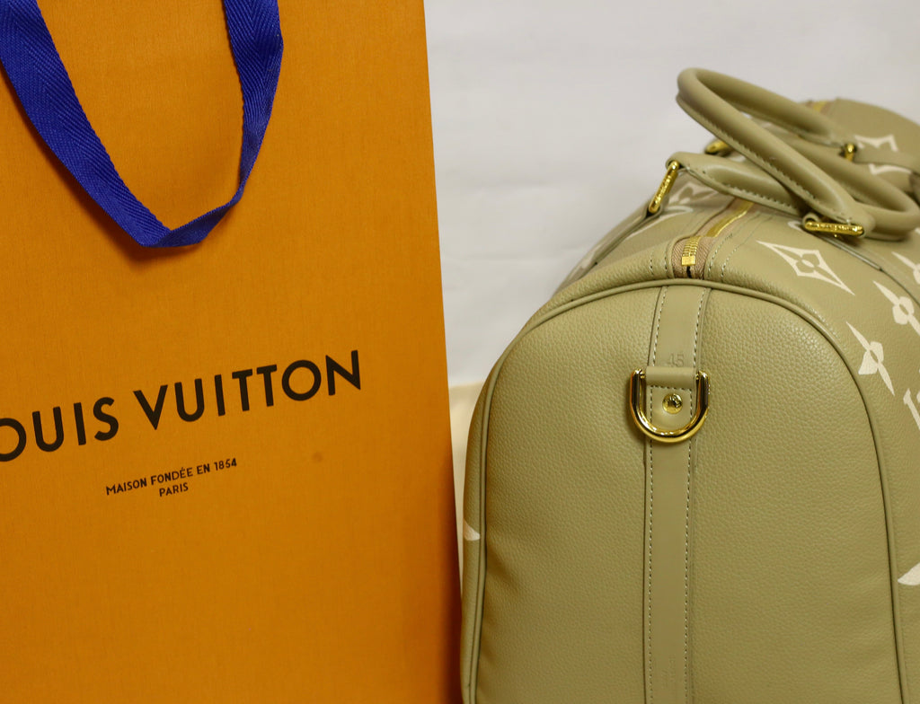 LV Hand bag