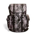 LV Backpack