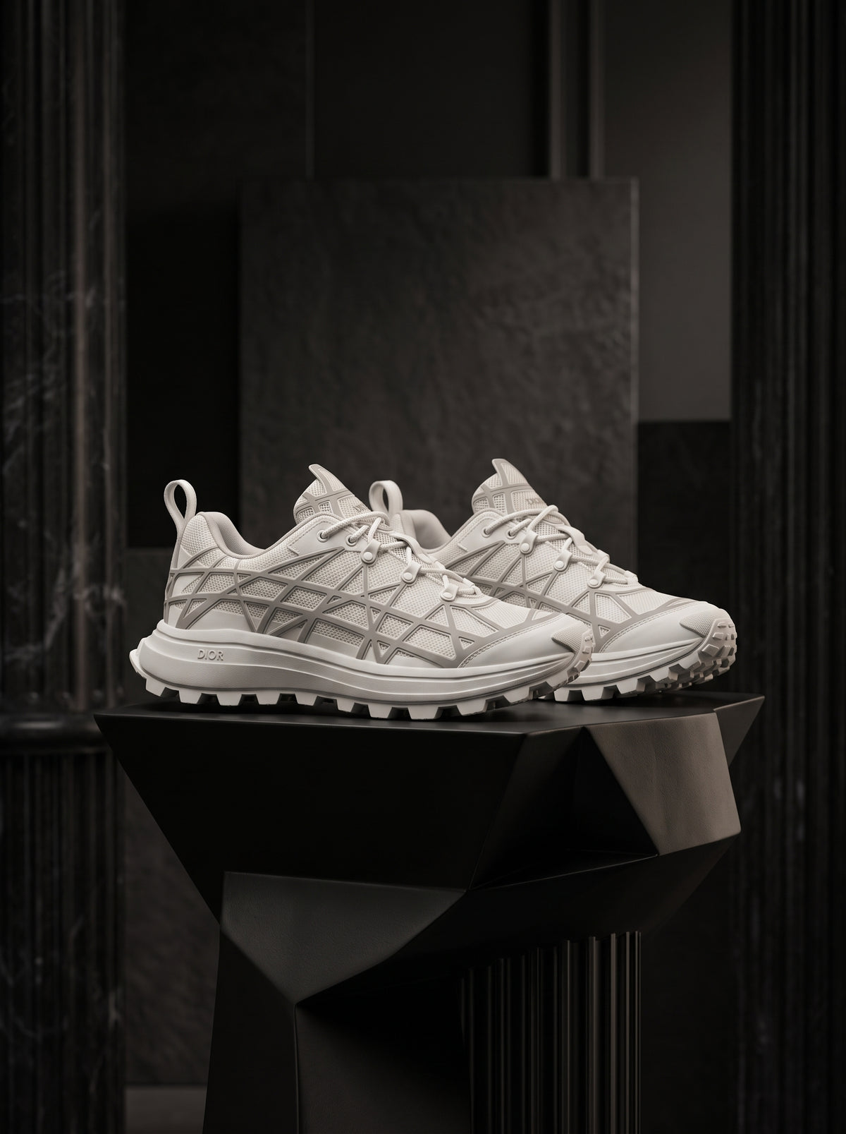 DIOR shoes