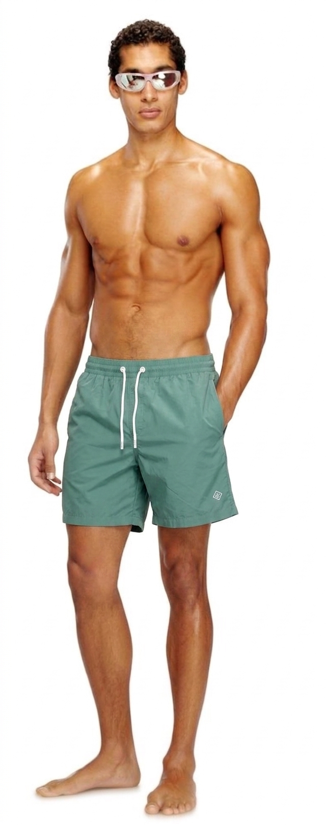 Loro Piana  Swimming Shorts